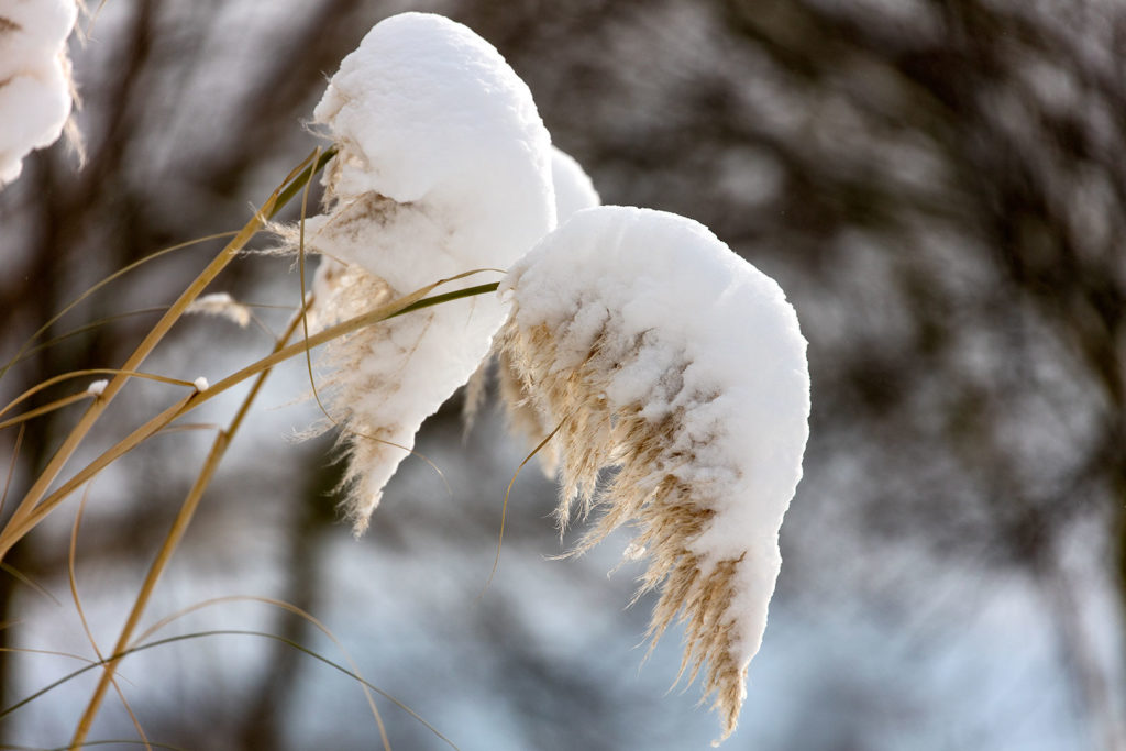 Winterliche Kunst