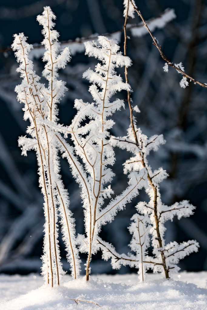 Winterliche Kunst