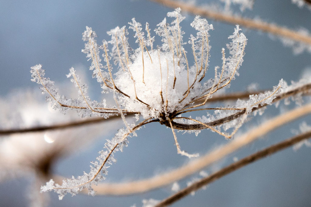 Winterliche Kunst