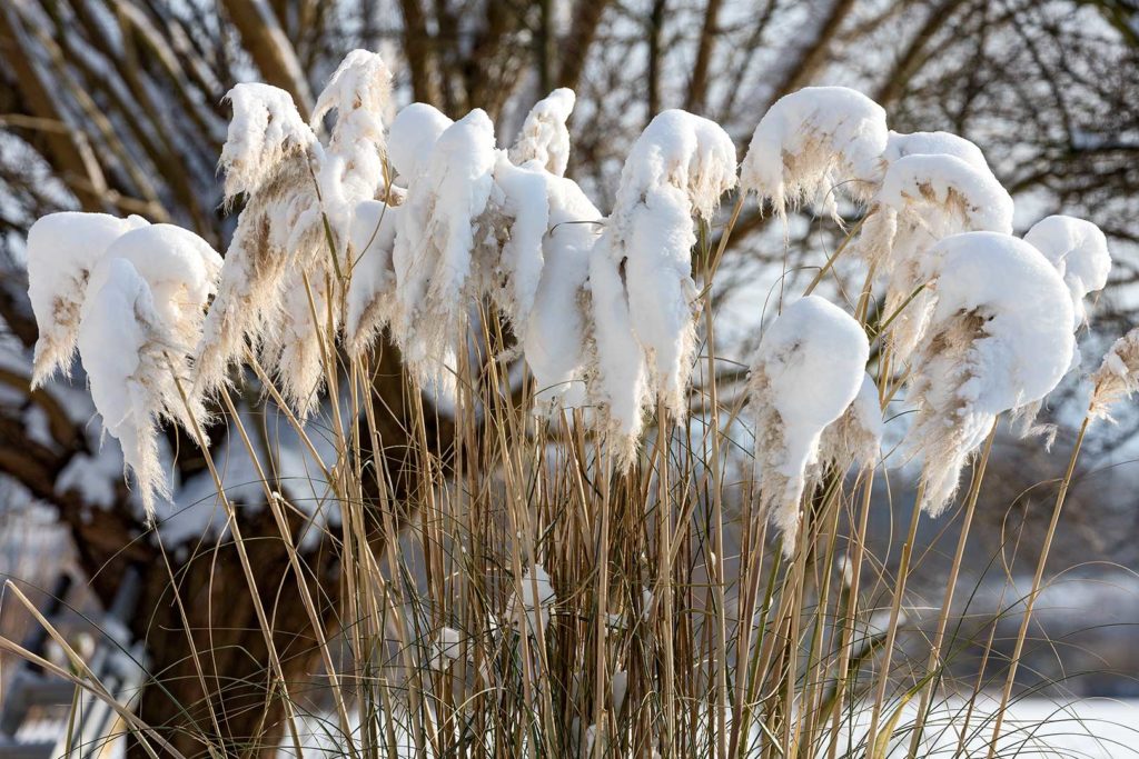 Winterliche Kunst