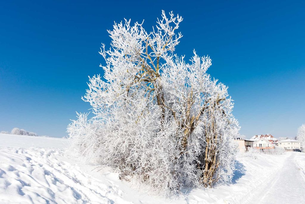 Winterliche Kunst