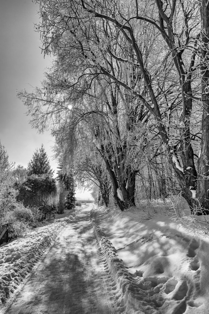 Winter in Rosdorf - Lichttunnel