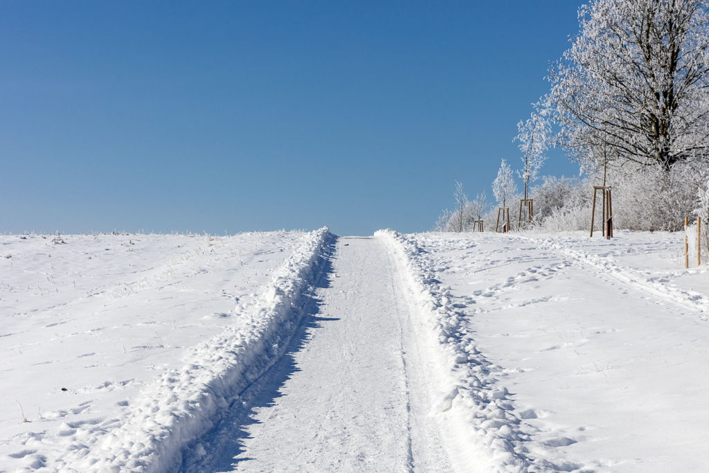 Südlicher Weg entlang des Wartbergs