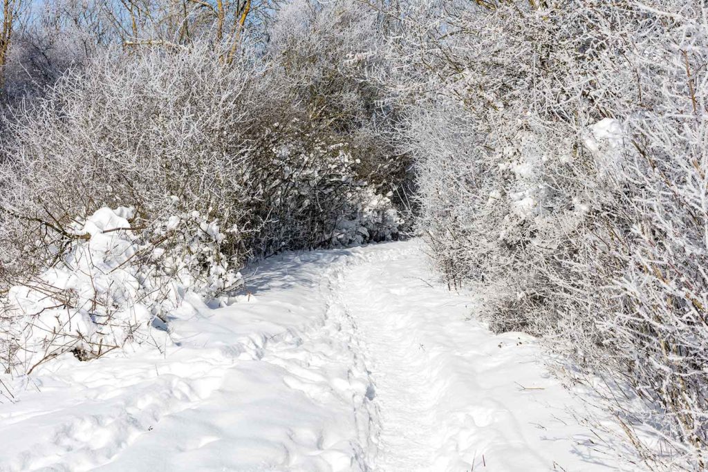 Rosdorf im Winter - Wartberg