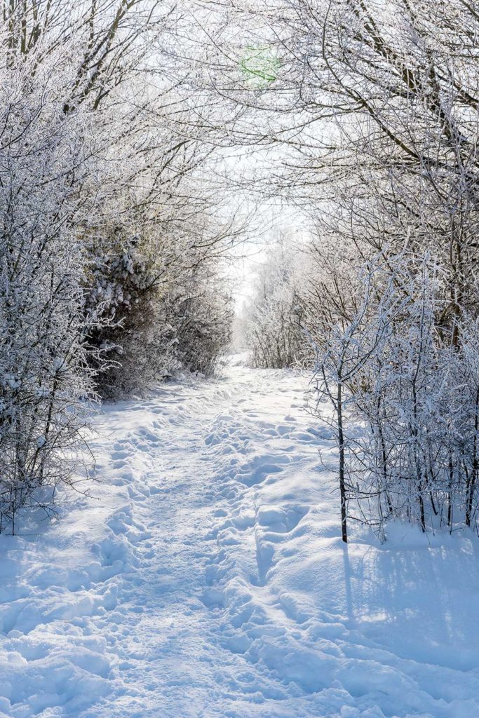 Winter in Rosdorf - Lichttunnel