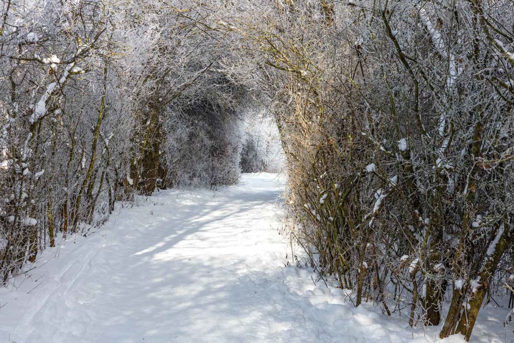 Rosdorf im Winter - Weg zum Wartberg