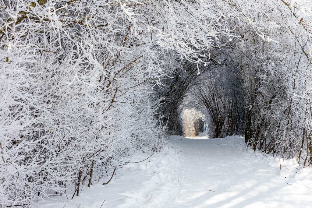 Winter in Rosdorf - Weg zum Wartberg