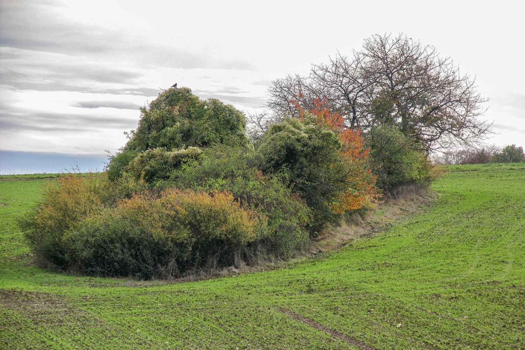 Herbst in Atzenhausen