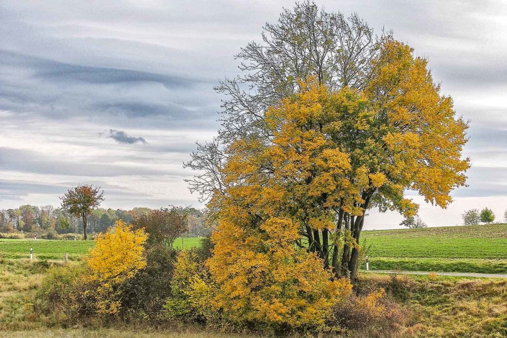 Herbst in Atzenhausen