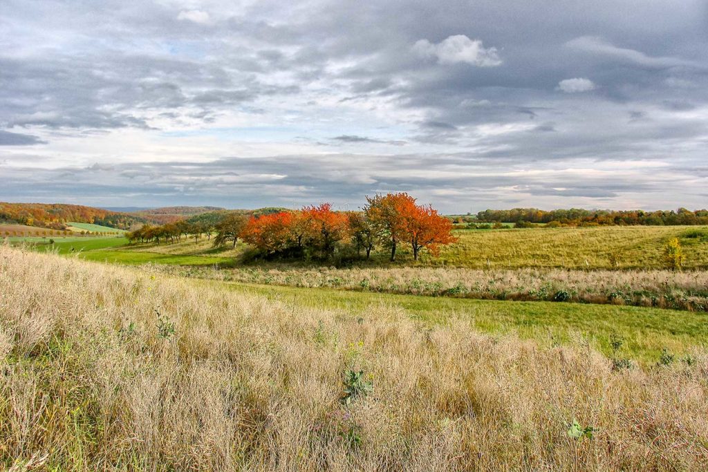 Herbstliches Wiesental bei Atzenhausen