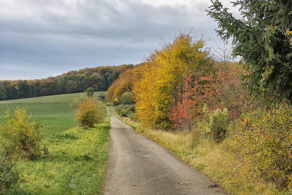 Herbst in Atzenhausen