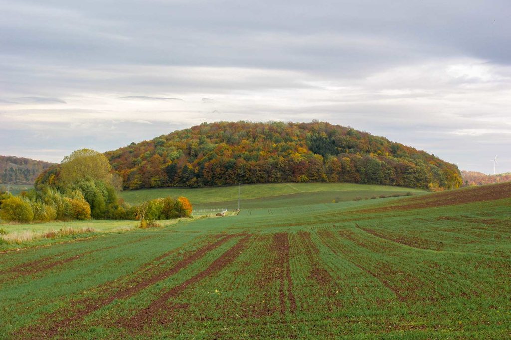 Herbst in Atzenhausen