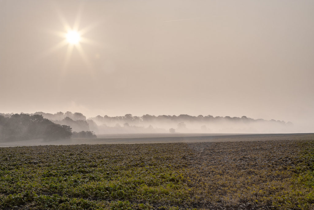 Nebel über Atzenhausen